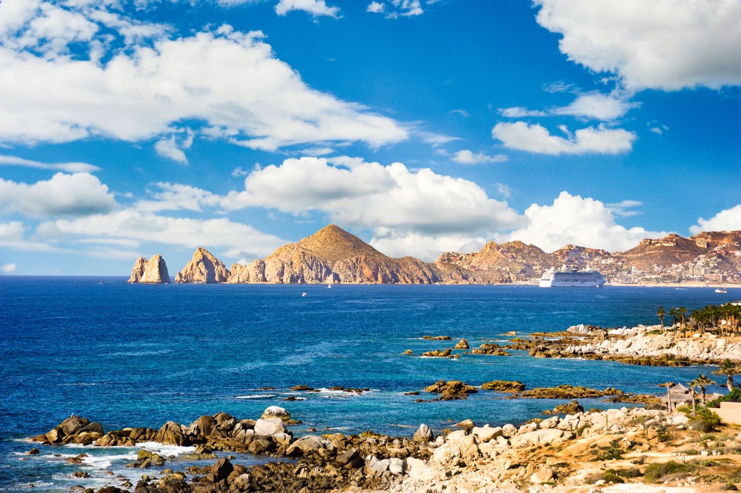 Sea of Cortez — La Paz Diving at Its Finest 2026